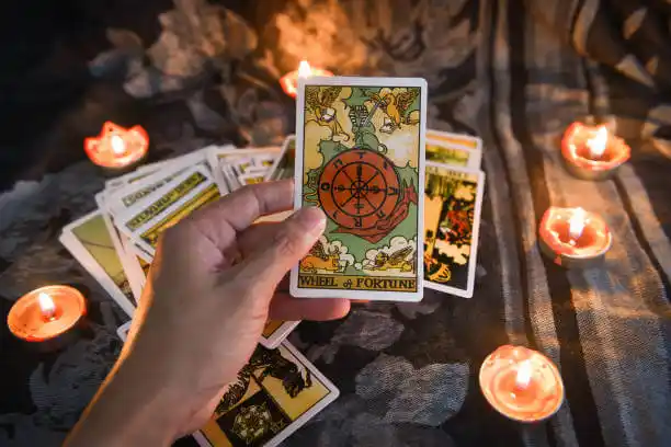 tarot cards Haddonfield